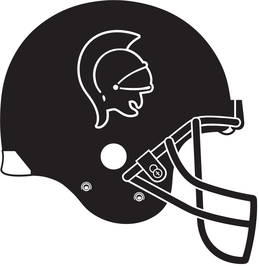 Troy Trojans 1993-1995 Helmet diy DTF decal sticker